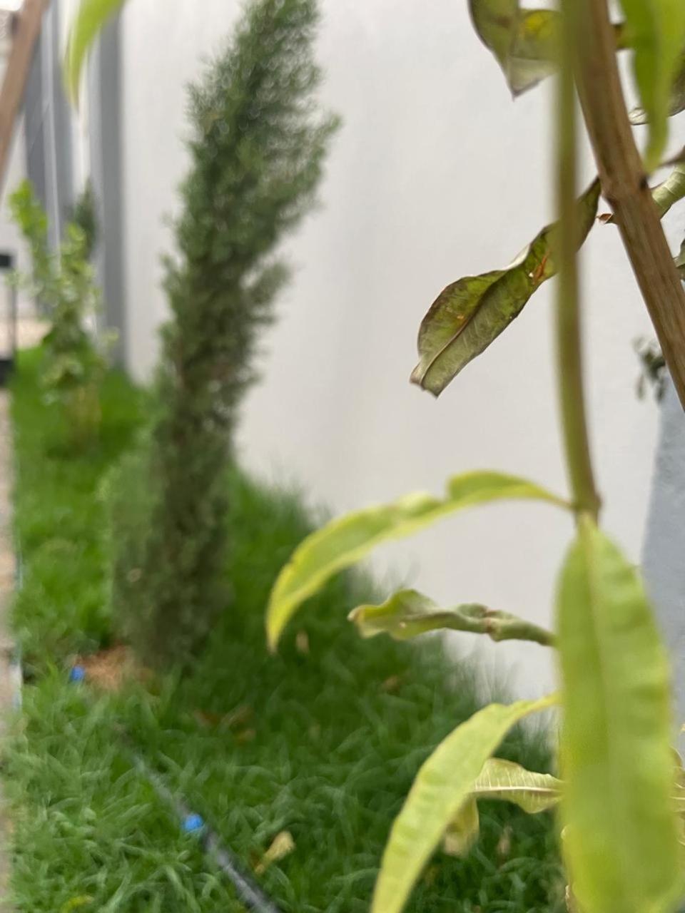 Aparthotel Garden Land Khamis Mushait Esterno foto